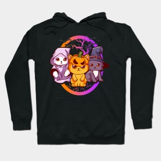 Cats Witch Pumpkin Ghost Graphic Men Kids Women Halloween Hoodie